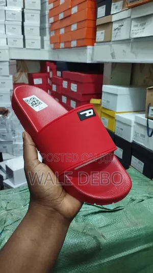 Slides of Different Brands