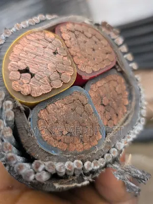 Armored Cable