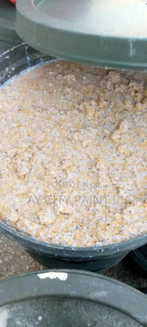 Marble Trowel Paint Supply in Osogbo