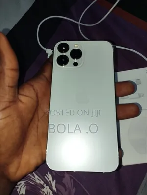 Apple iPhone 13 Pro Max 256 GB Silver