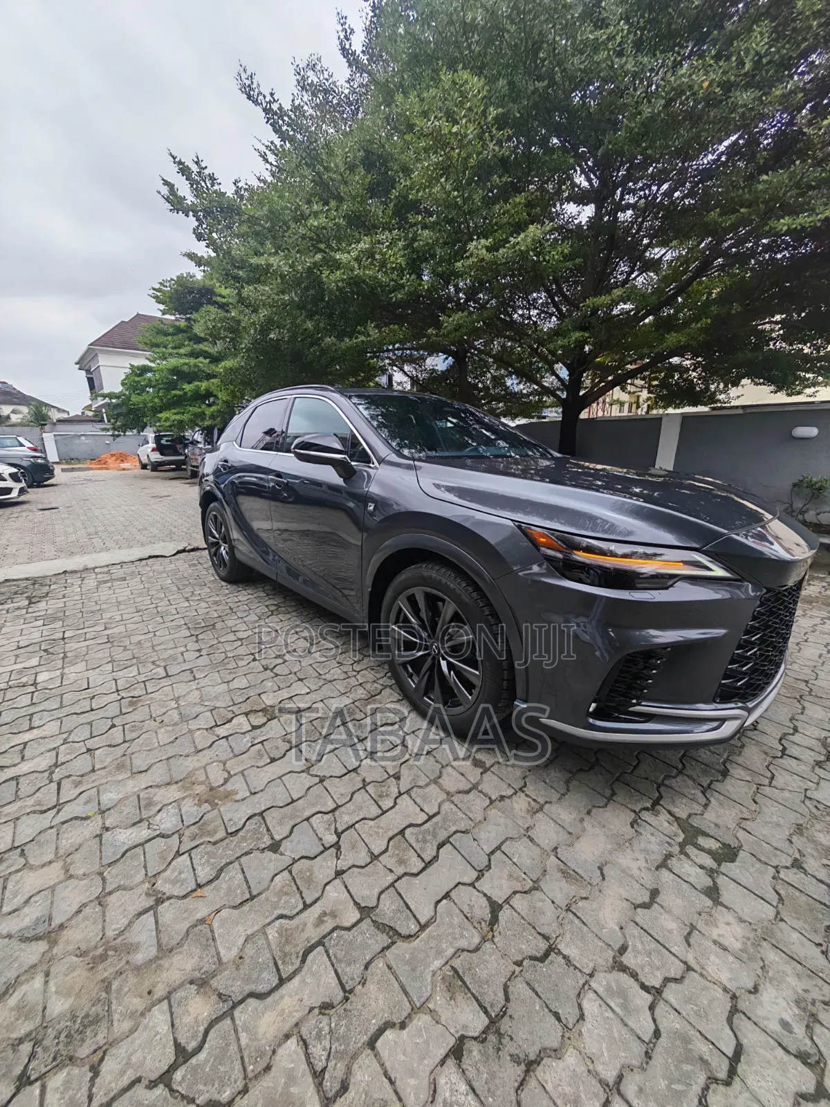 Lexus RX 350 2024 Gray