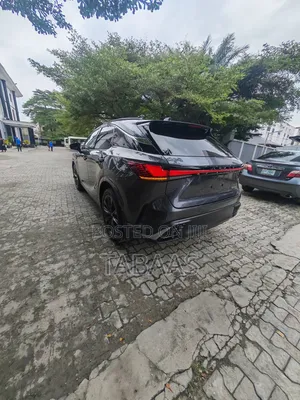Lexus RX 350 2024 Gray