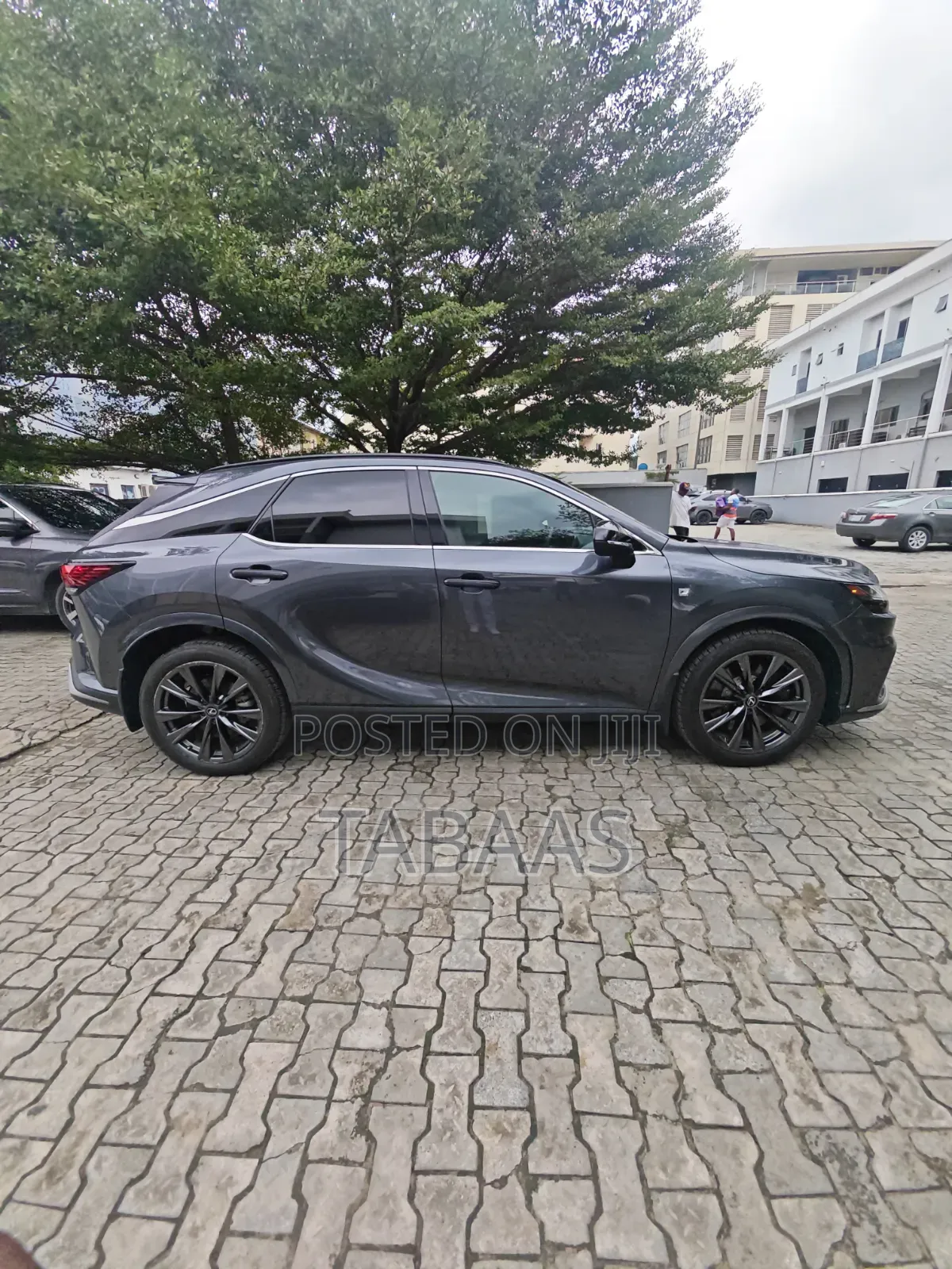 Lexus RX 350 2024 Gray