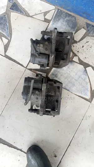 Back Caliper for Range Rover Sport