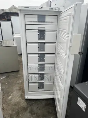 Liebherr Standing Freezer 6 Steps