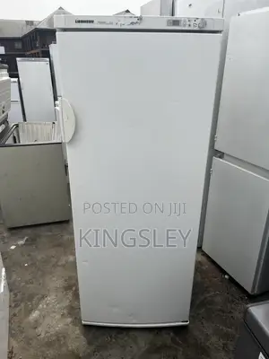 Liebherr Standing Freezer 6 Steps