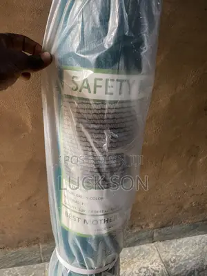 Scaffolding Net