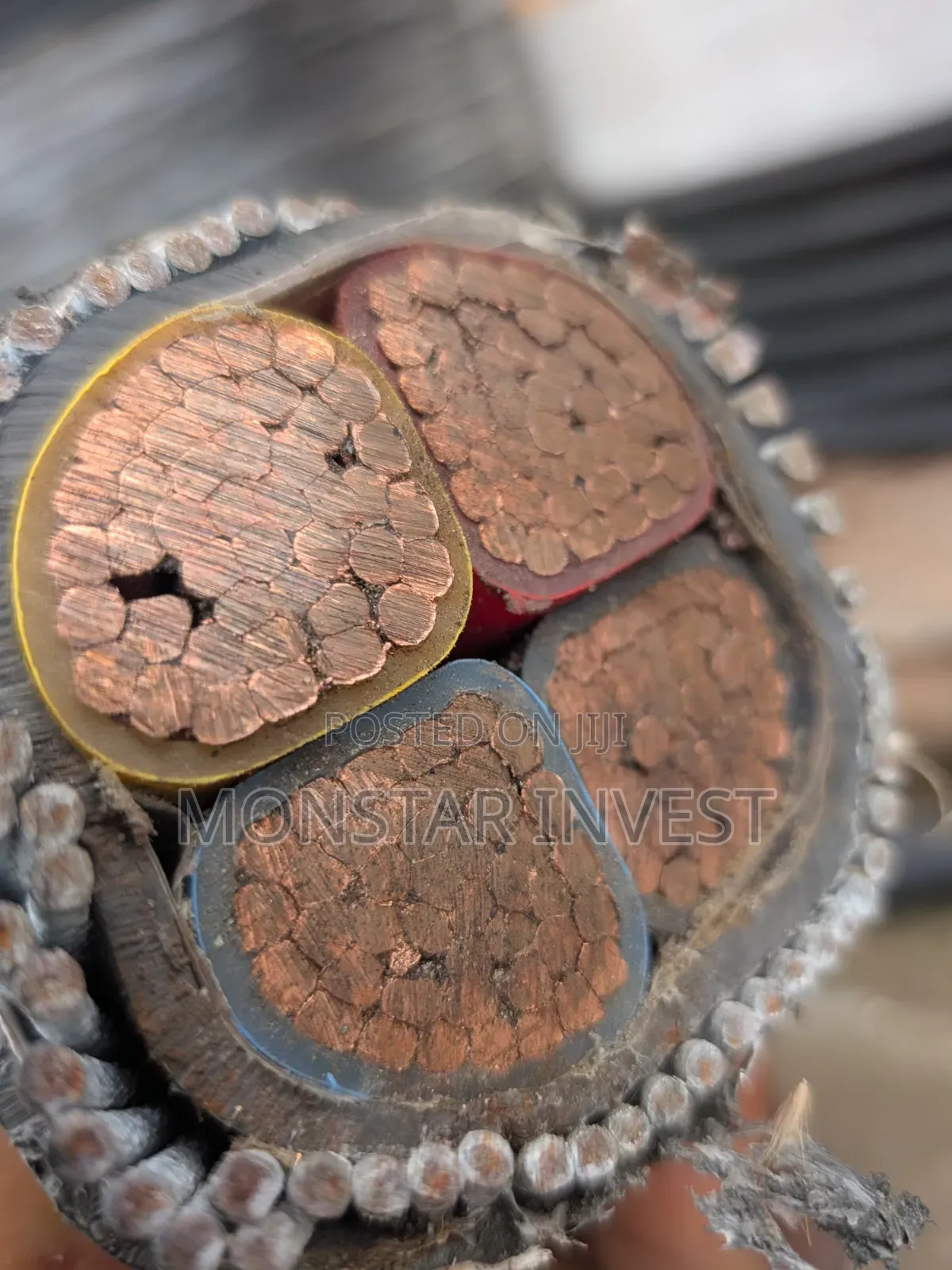 Armored Cable Niger Chin
