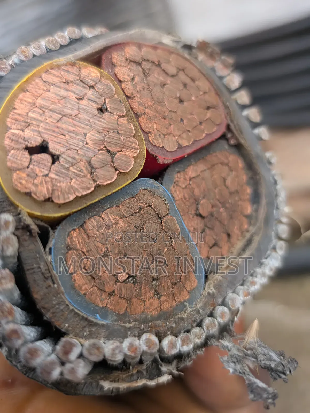 Armored Cable 4core Niger Chin