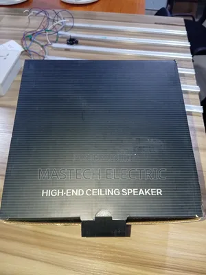 Ceiling Speaker