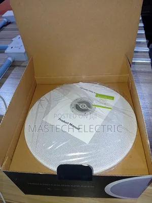 Ceiling Speaker