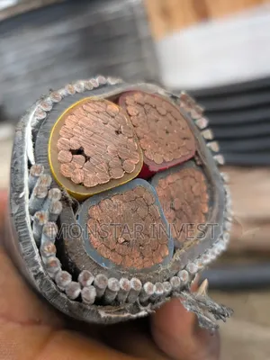 Armored Cable 4core
