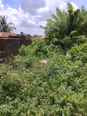 Prime Roadside Land for Sale – Apata, Ibadan