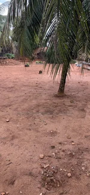 10bdrm Bungalow in Benin City for sale