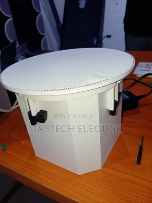 Bass Ceiling Speaker
