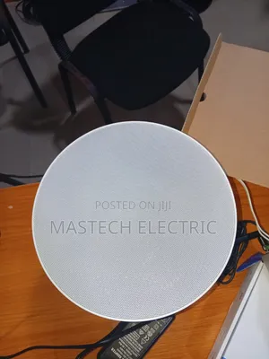 Bass Ceiling Speaker