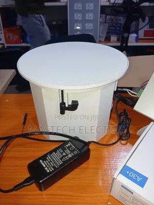 Bass Ceiling Speaker