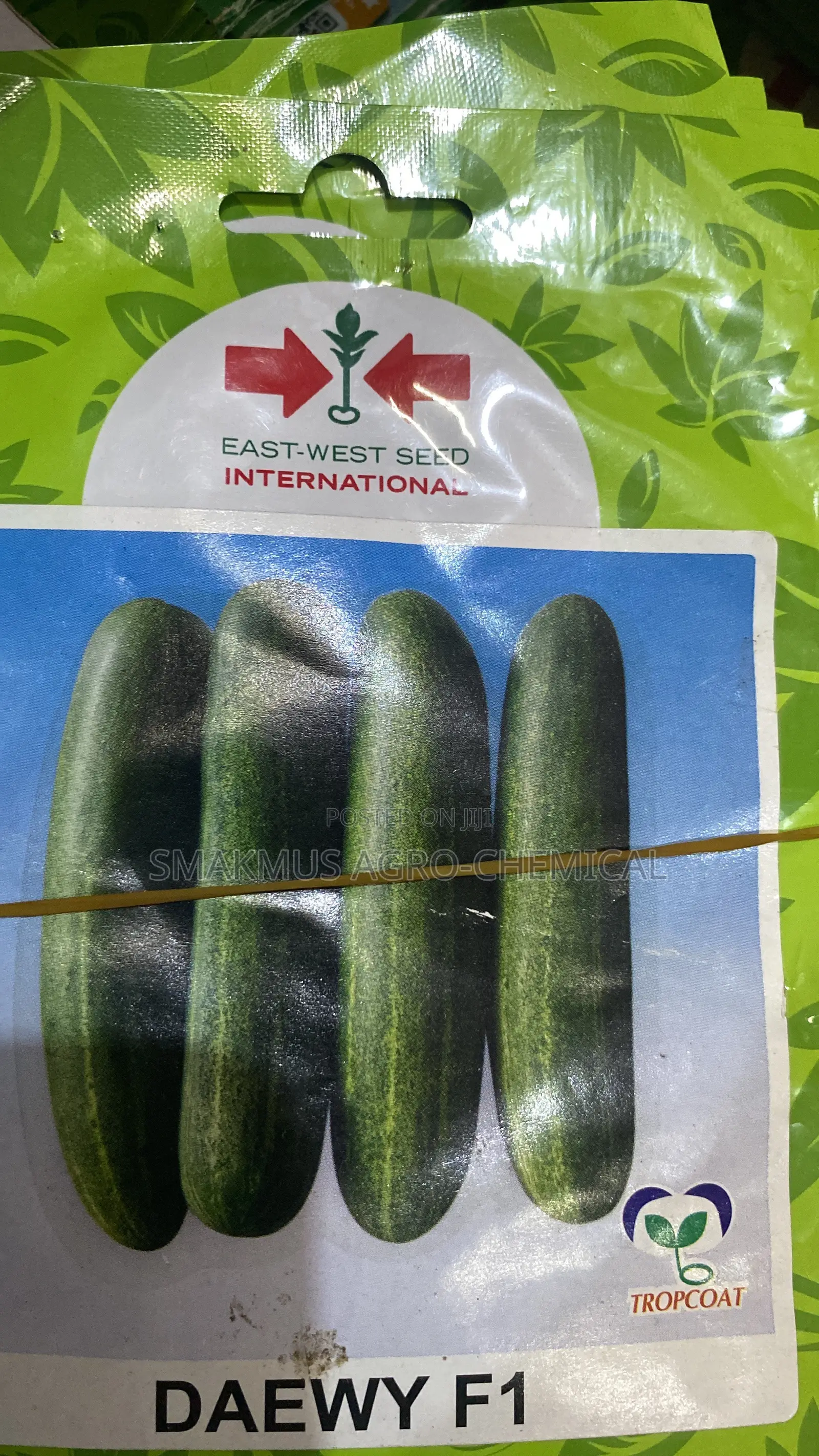 Daewy Cucumber