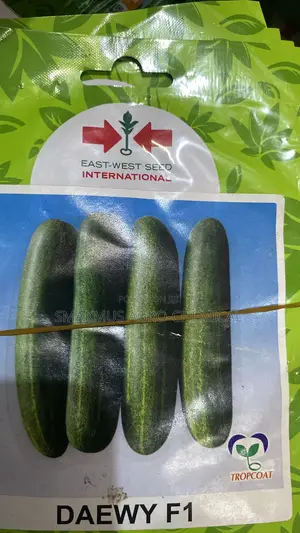 Daewy Cucumber