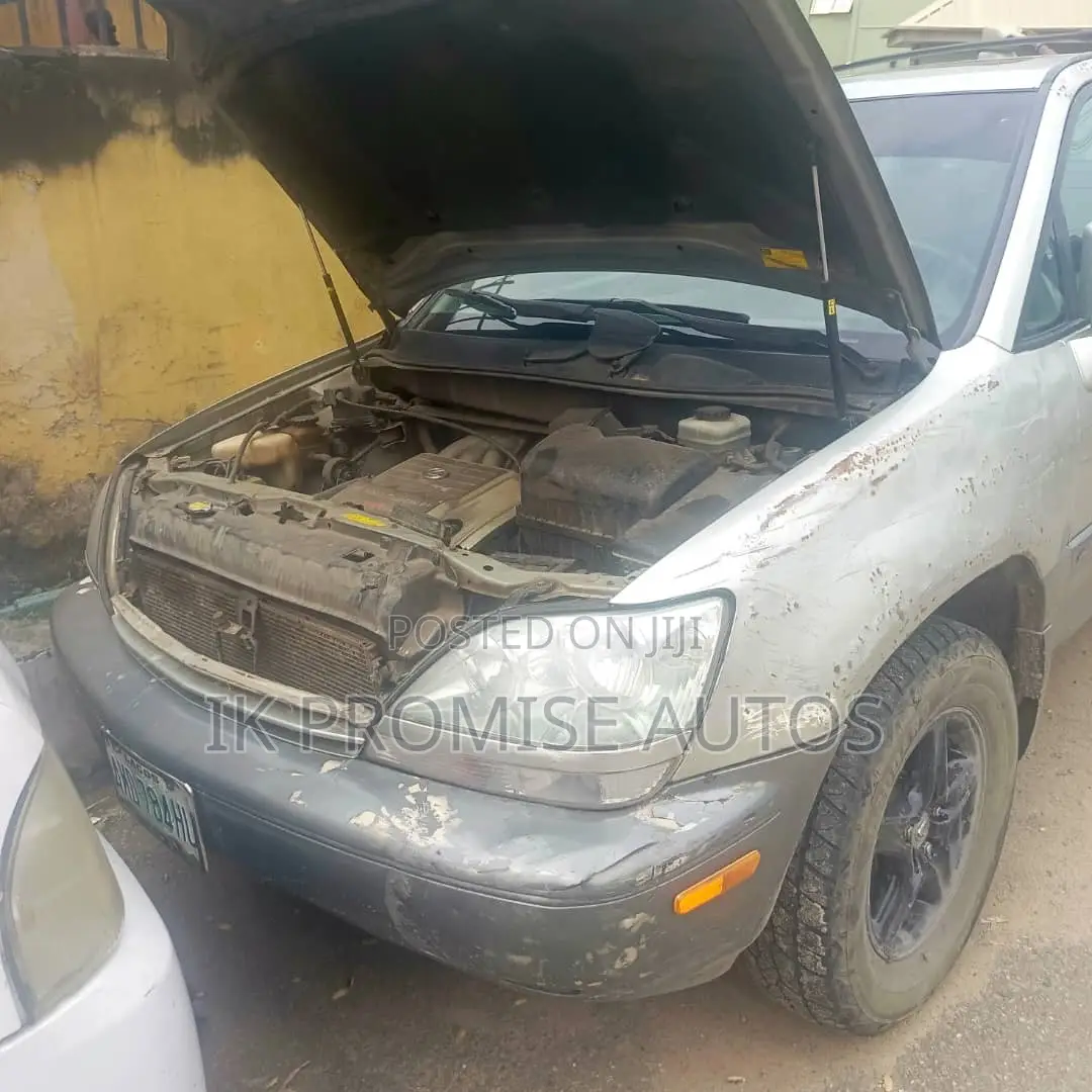 Lexus RX 300 2001 Silver