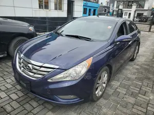 Hyundai Sonata 2011 Blue