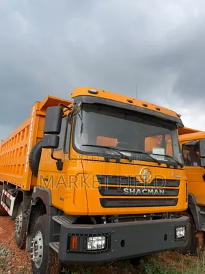 12 Tires Shacman Tipper Dump Truck