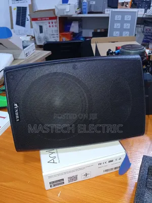 Indoor Wall Speaker