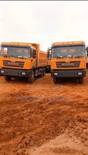 10 Tires Shacman Tipper Dump Truck