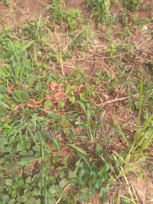 100 Hectares Land at Idu Industrial Area for Sale