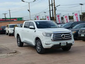 Great Wall Poer 2025 White