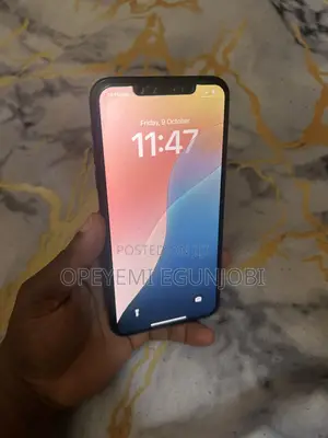 Apple iPhone 11 Pro Max 64 GB Gray