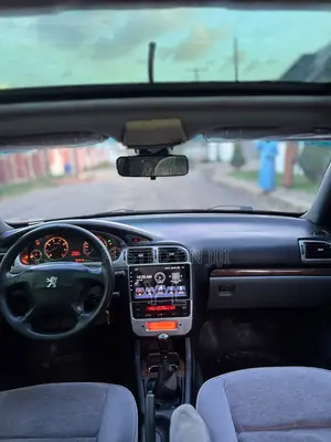 Peugeot 406 2004 Gray