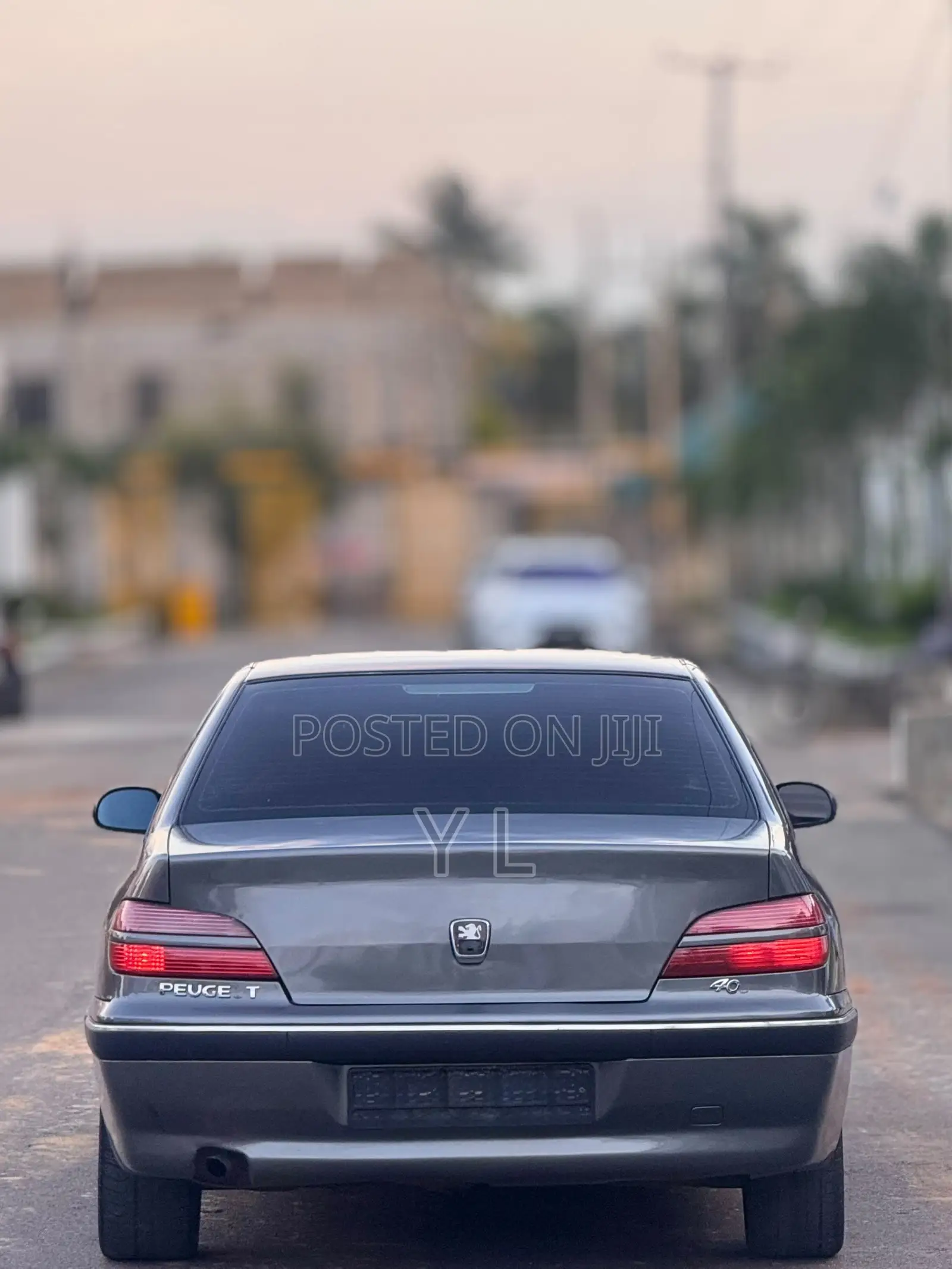 Peugeot 406 2004 Gray
