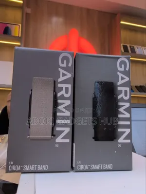 Garmin Cirqa Smart Band