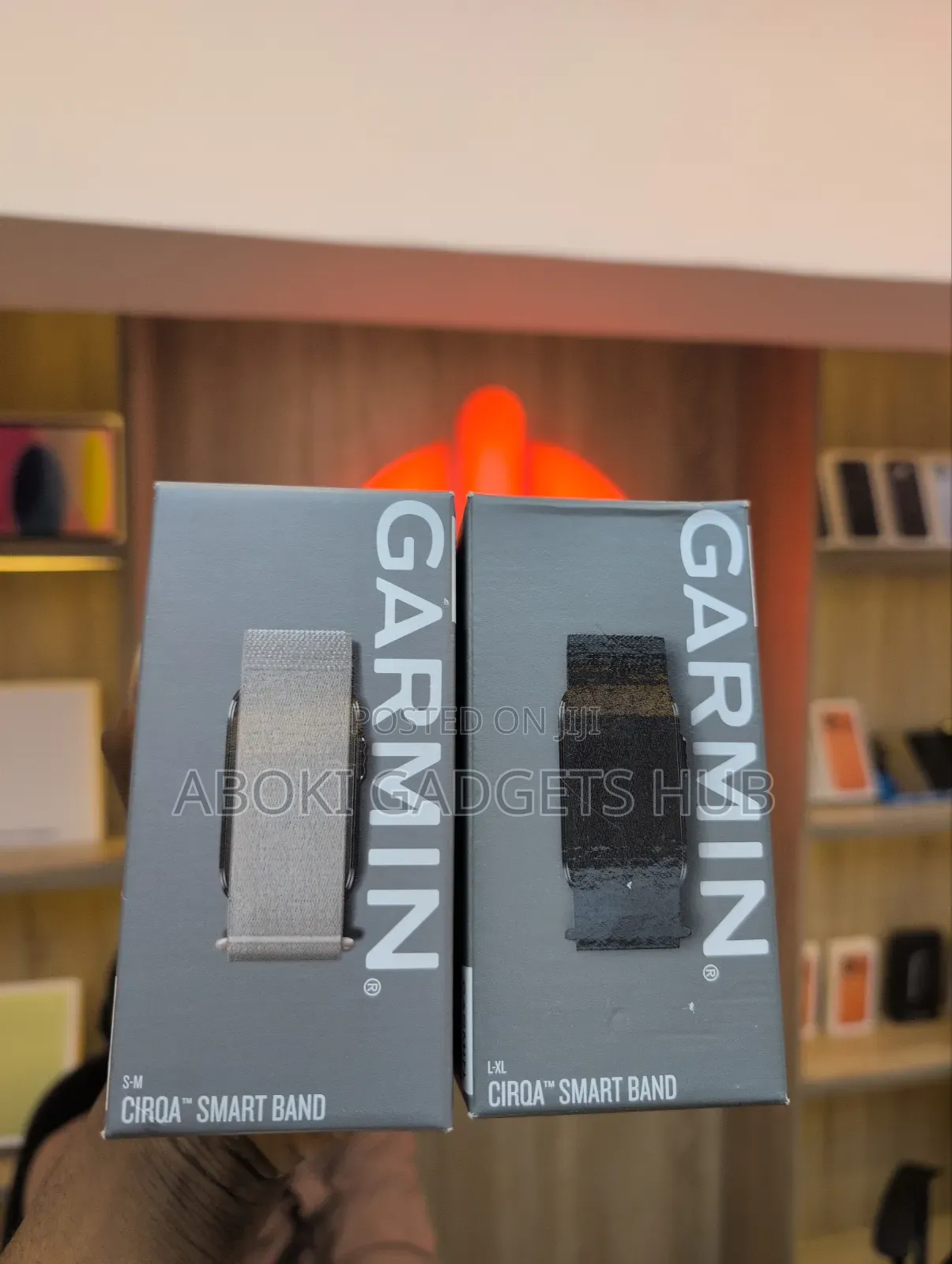 Garmin Cirqa Smart Band