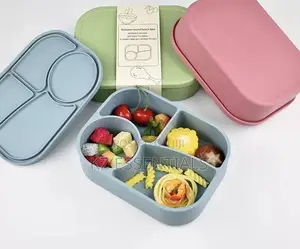Food-Grade Compartment Silicone Lunch Box