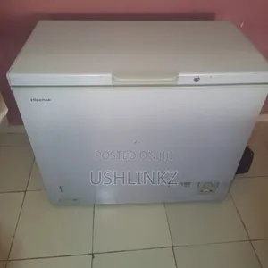 Hisense Deep Freezer 259L