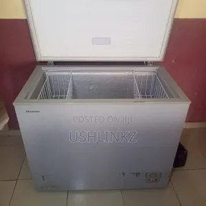 Hisense Deep Freezer 259L