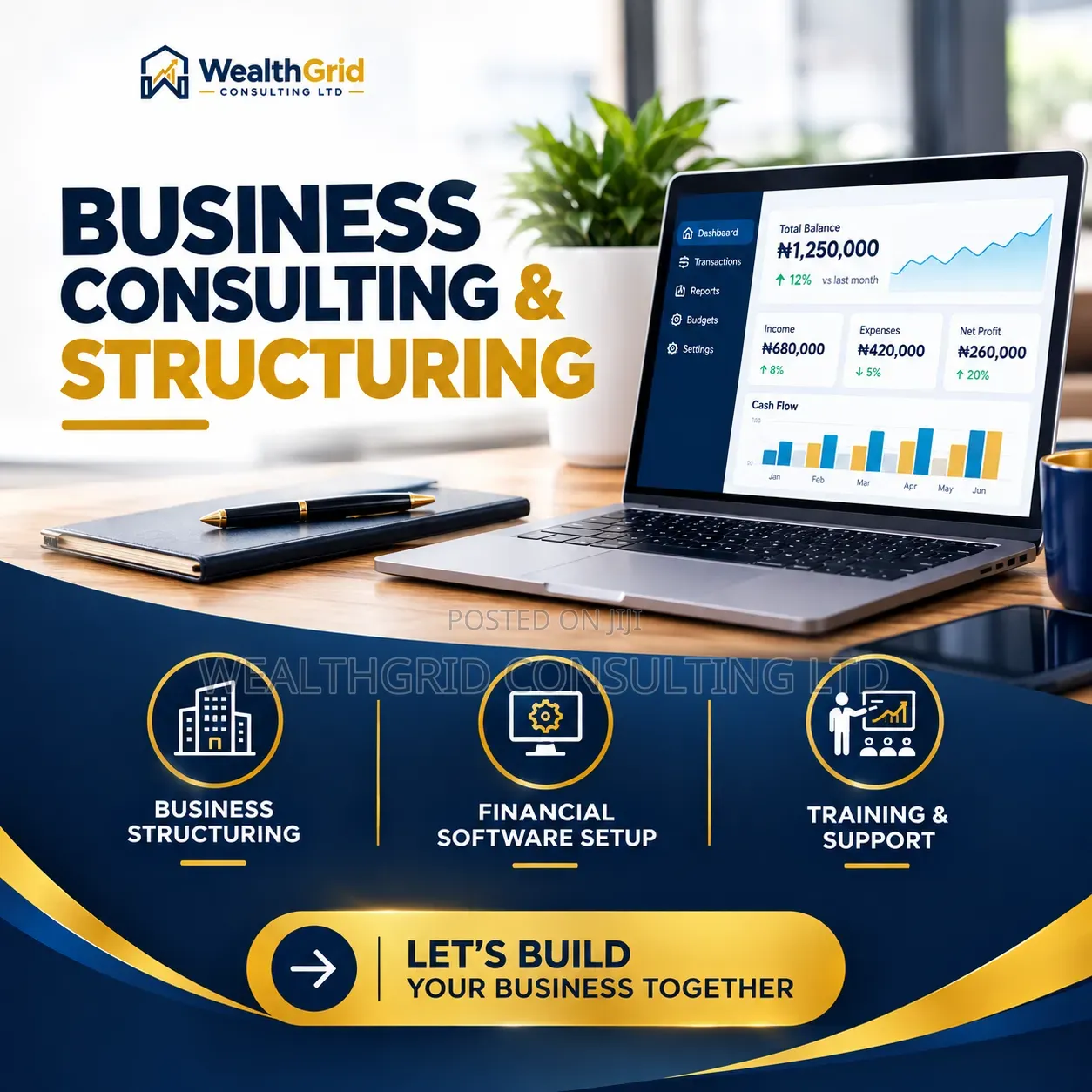 Business Consulting & Financial Software Setup
