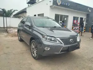 Lexus RX 2013 Gray