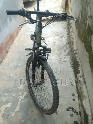 Bicycle Mobility