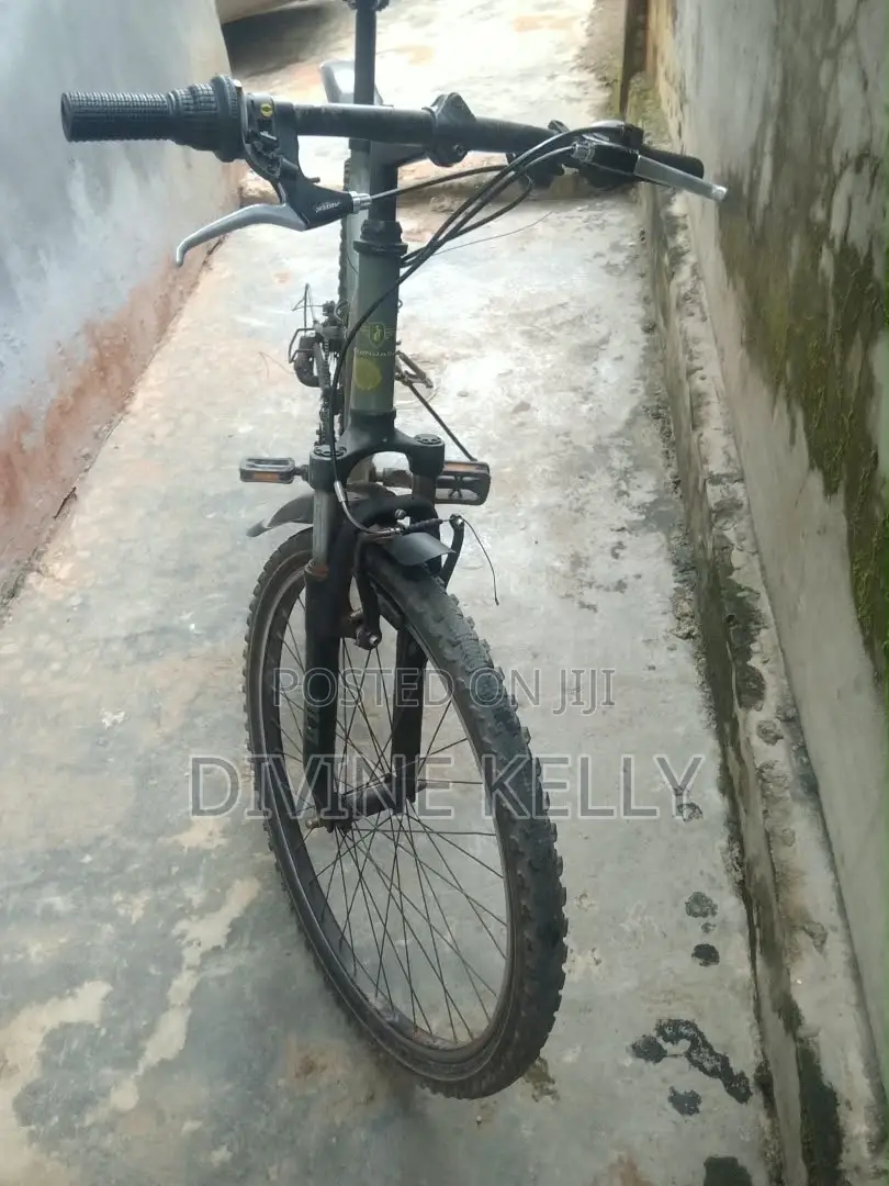 Bicycle Mobility
