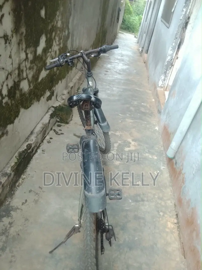 Bicycle Mobility