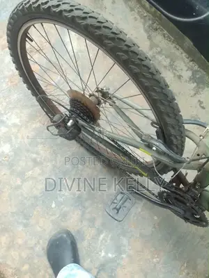 Bicycle Mobility
