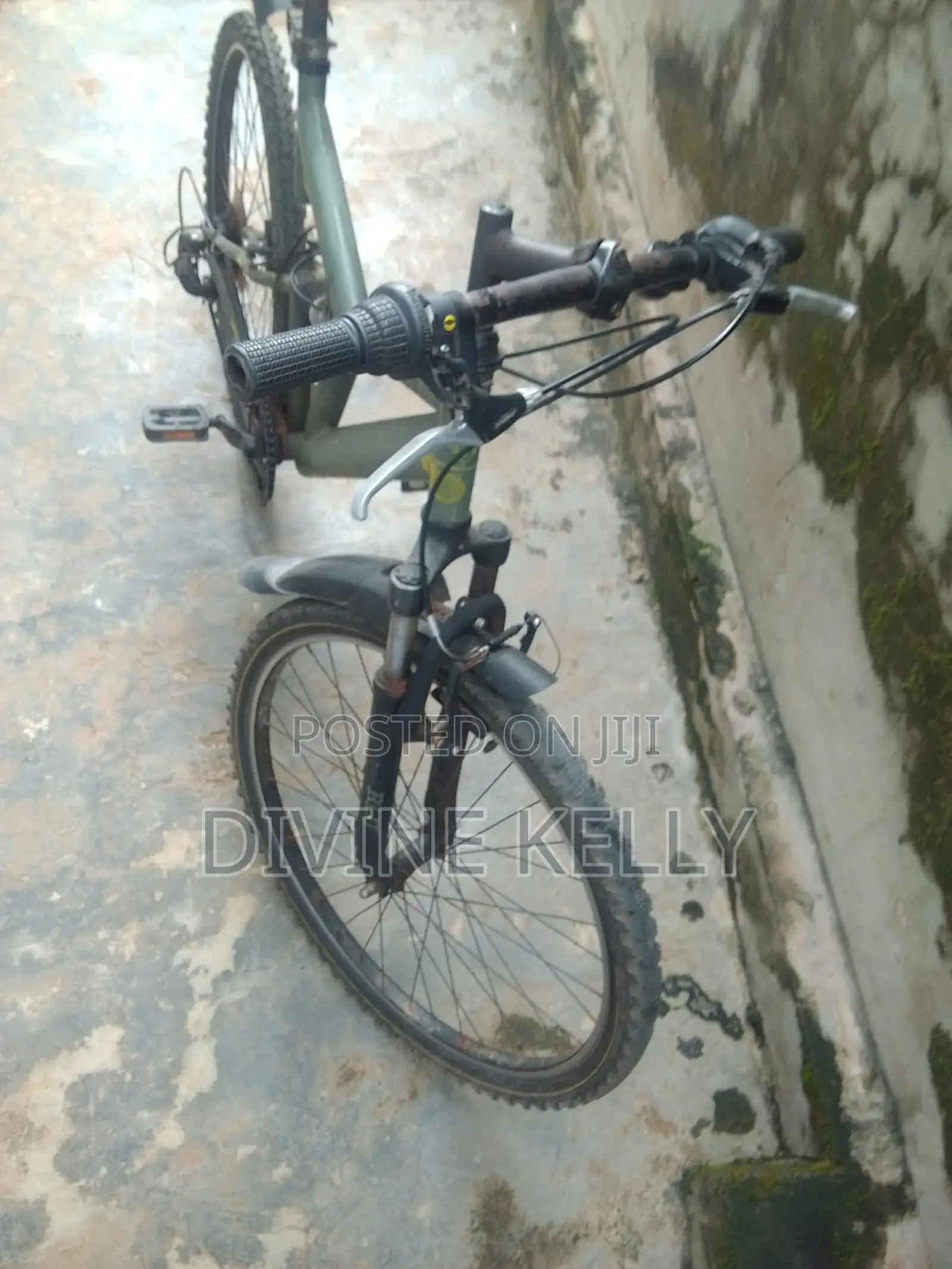 Bicycle Mobility