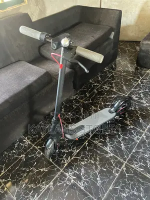 Electronic Scooter