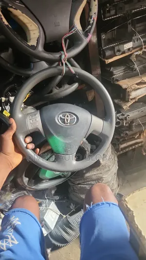 Steering Wheel and Air Bag