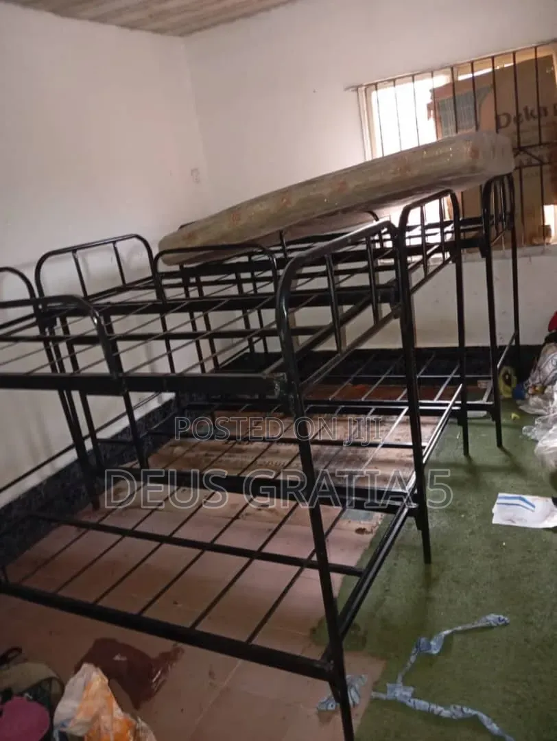 Elegant Double Bunk Bed