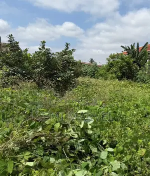 Fenced and Gated Land Measuring 993sqm at Oluwo Nla, New Bodija