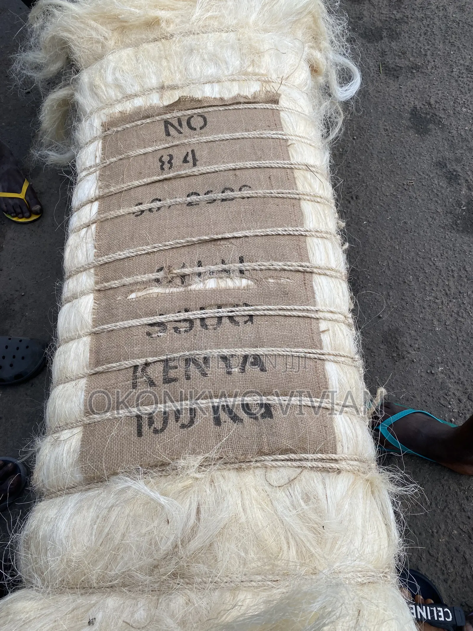 Kenya Fillas
